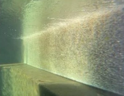 Air bar producing a curtain of micro-bubbles along a pond wall